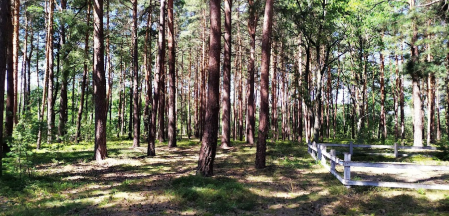 База відпочинку «Пулемчанка»