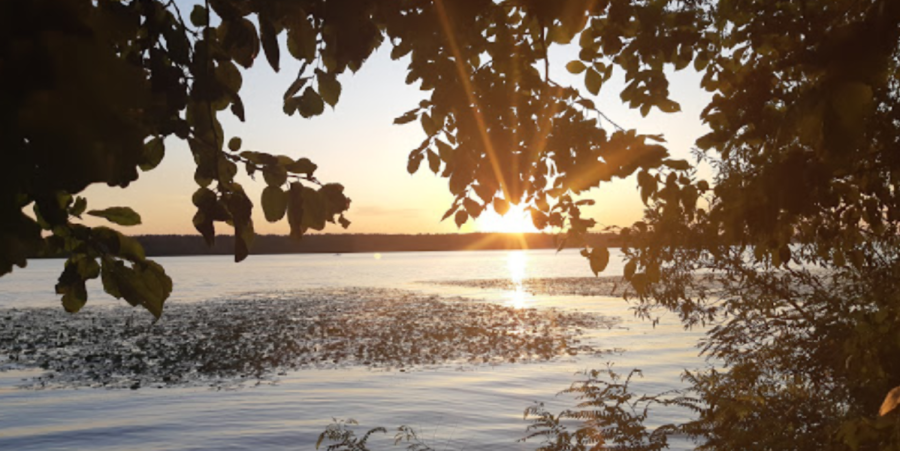 База відпочинку «Скіф» в Запорізкій області