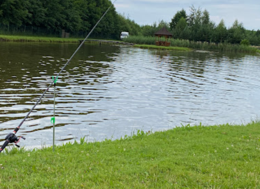 База відпочинку «Світанок»