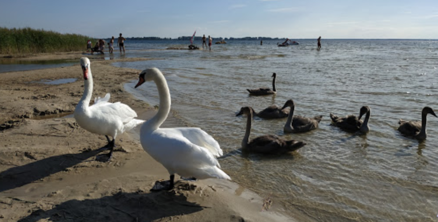 База відпочинку «Світязь - Центр»