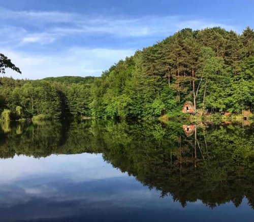 База відпочинку  та риболовлі: «Сонячна Галявина»
