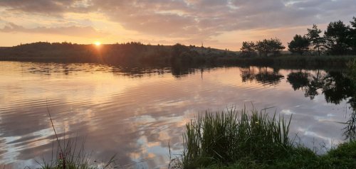 База відпочинку  та риболовлі: «Сонячна Галявина»