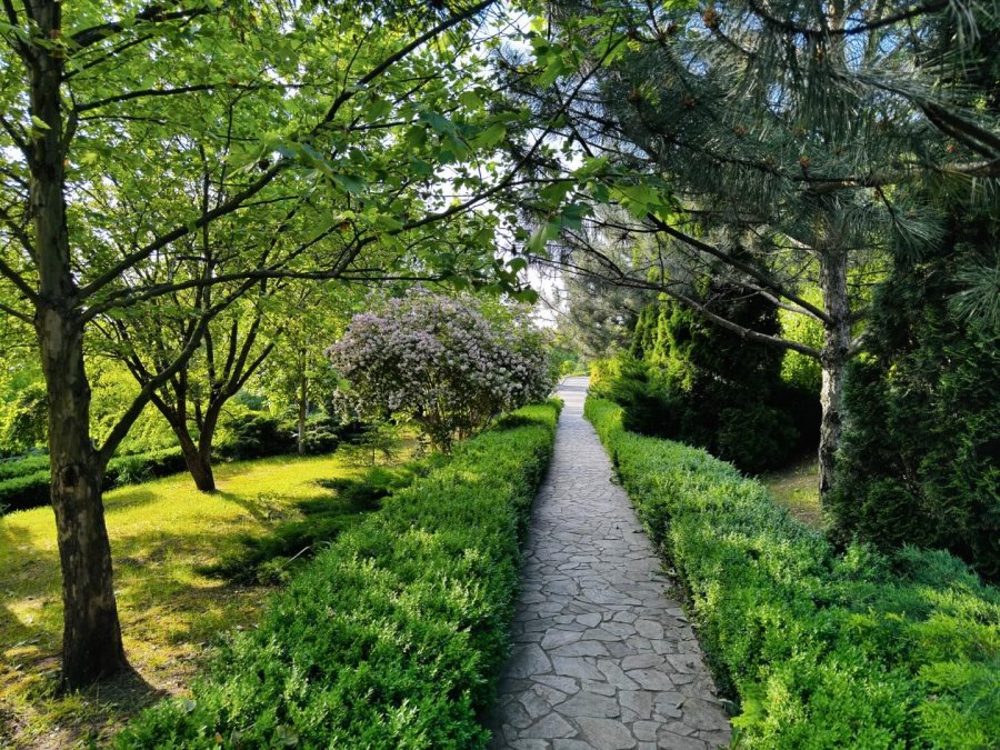 База відпочинку та риболовлі «Весела Роща» у Дніпропетровській області