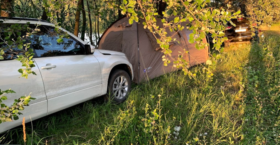 База відпочинку та риболовлі «Весела Роща» у Дніпропетровській області