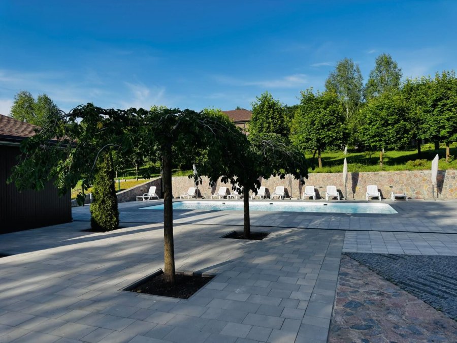 База відпочинку та риболовлі «Весела Роща» у Дніпропетровській області