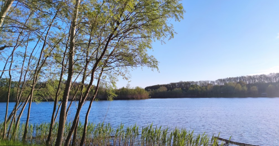 База відпочинку та риболовлі «Весела Роща» у Дніпропетровській області