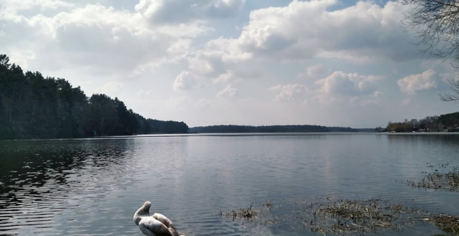 База відпочинку «Тетерів» у Житомирі