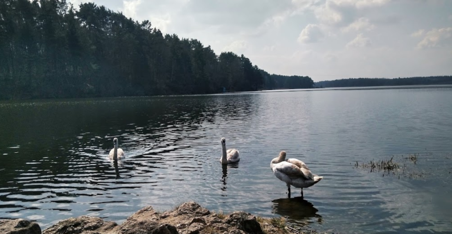 База відпочинку «Тетерів» у Житомирі