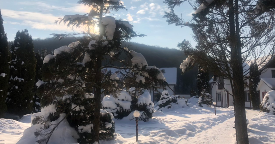 База відпочинку «У Тараса» 