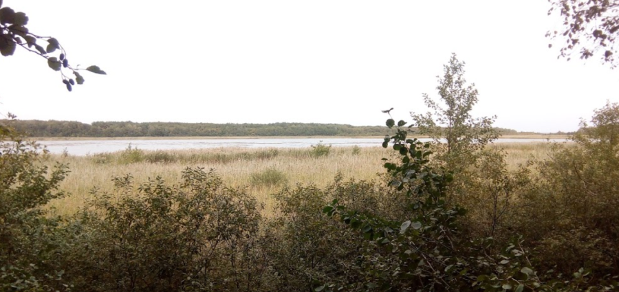 База відпочинку «Вітязь»