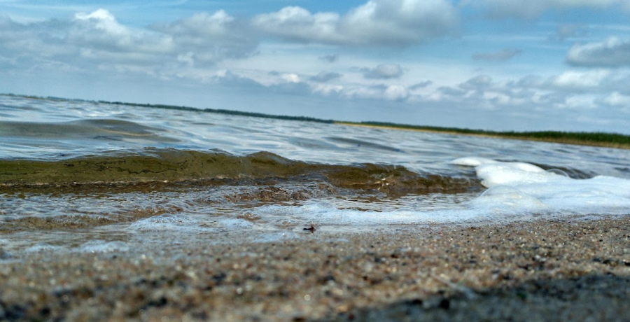 База відпочинку «Вітязь»