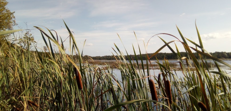 База відпочинку «Вітязь»