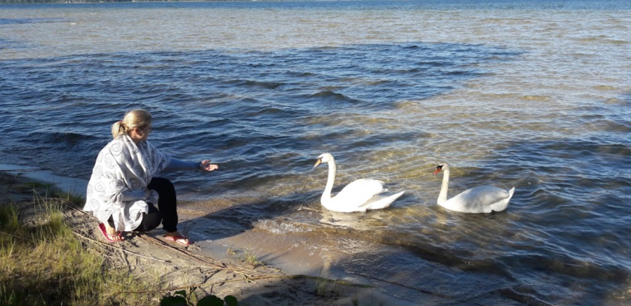 База відпочинку «Вітязь»