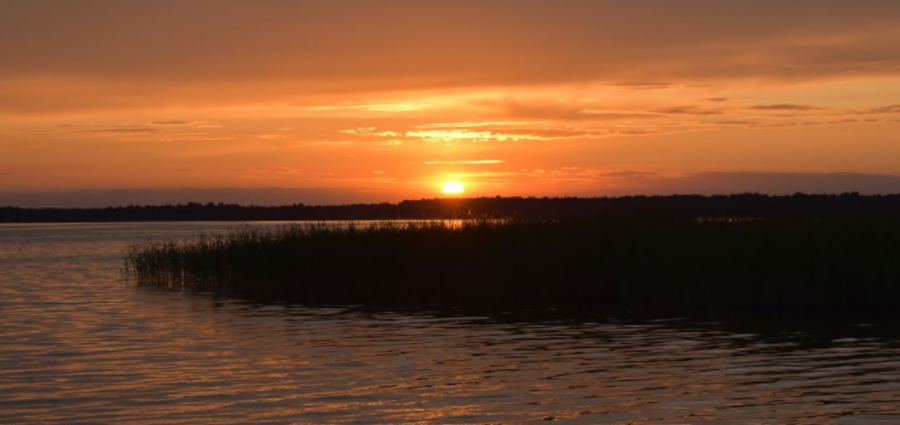 База відпочинку «Ялинка»