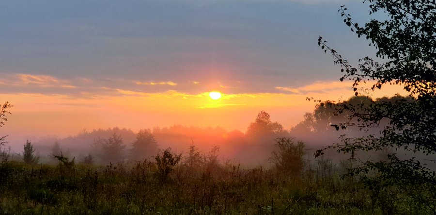 Білий Маяк, заміський комплекс 