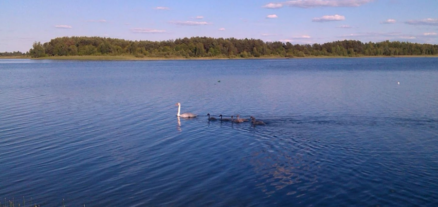 Будинок відпочинку на озері Луки