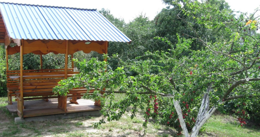 Будинок відпочинку на озері Луки