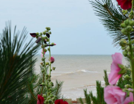 База відпочинку «Діброва» у Запорізькій області