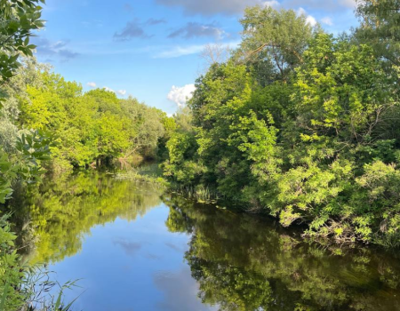 База відпочинку «Орельський двір»