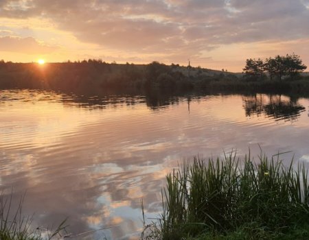 База відпочинку  та риболовлі: «Сонячна Галявина»