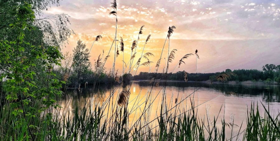  «Golden Sand/Золоті піски»