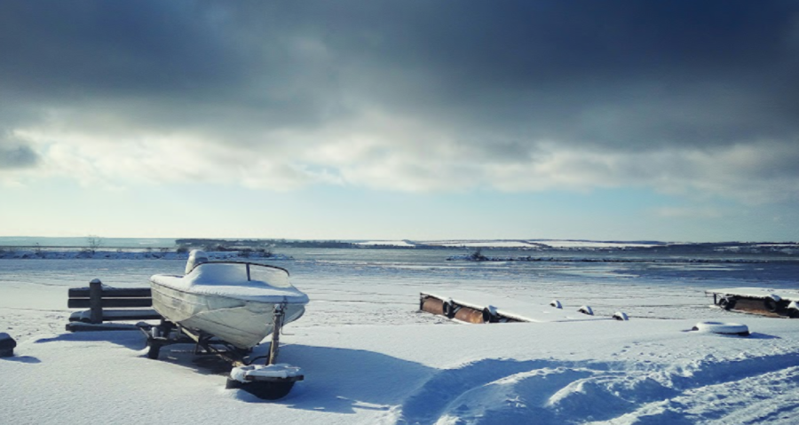  «Golden Sand/Золоті піски»