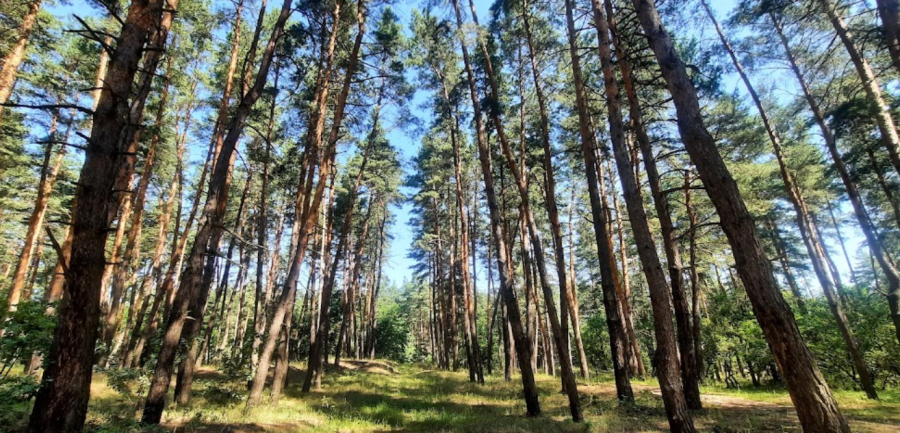 Клуб сімейного відпочинку «Family Holiday»