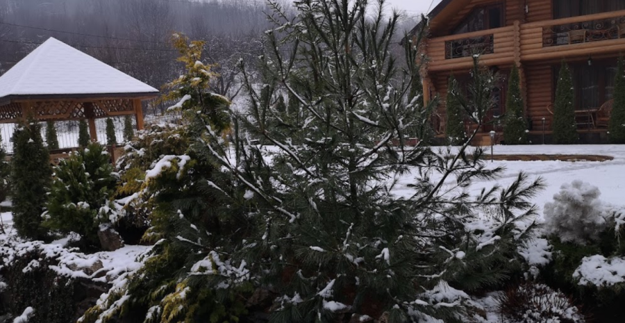 Котеджне Містечко «ОАЗИС КАРПАТ» 