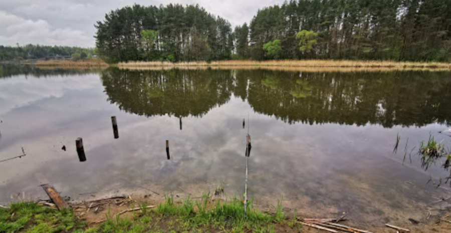 Містечко відпочинку «Грінвуд»  у Житомирській області