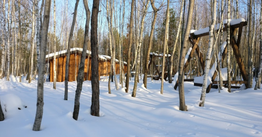 Містечко відпочинку «Грінвуд»  у Житомирській області