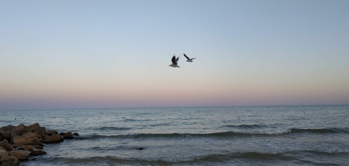 Морська риболовля та відпочинок на базі відпочинку «Смолоскип» у Запорізькій обалсті