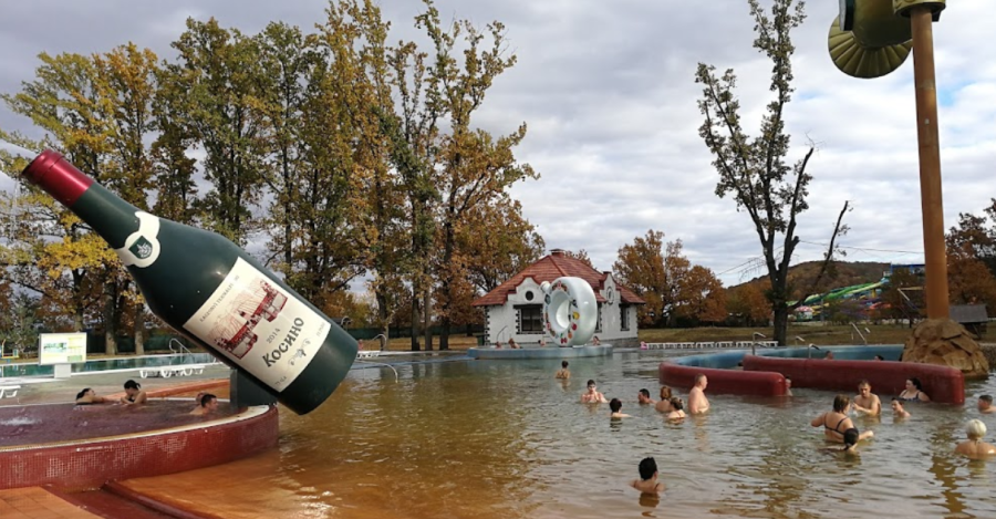 Оздоровчо-рекреаційний комплекс «Косино»