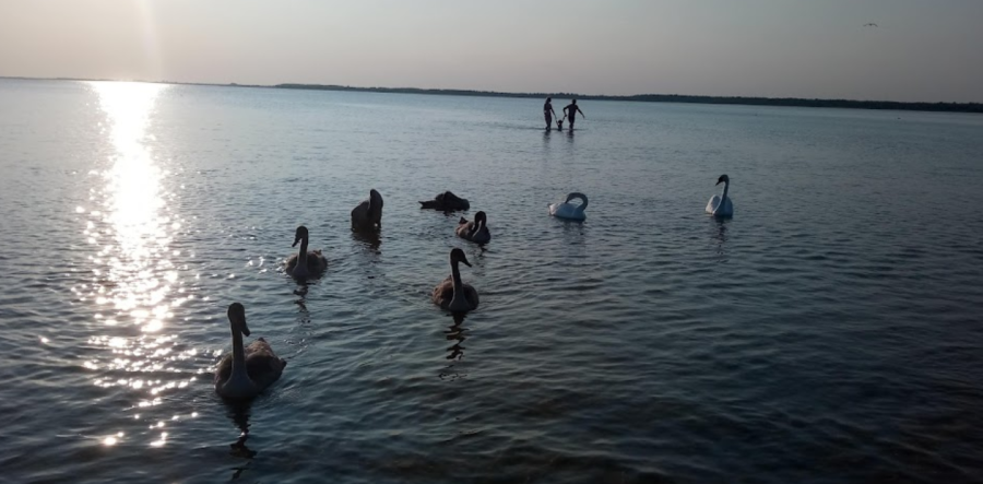 «Сільвер» база відпочинку на озері Світязь