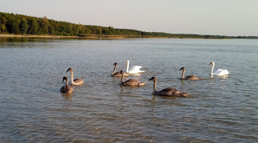 «Сільвер» база відпочинку на озері Світязь