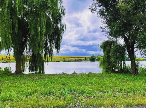 Риболовля на спортивній водоймі «Winfish» у  селі Киданці, Тернопільска обл