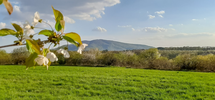 Туристичний комплекс «ДЖЕРЕЛЬНЕ ОЗЕРО»7