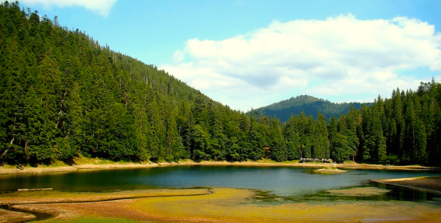 Відпочинок на Закарпатті з басейном «Canada»