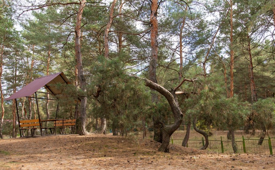 Заміський комплекс «ObuhovSKY»