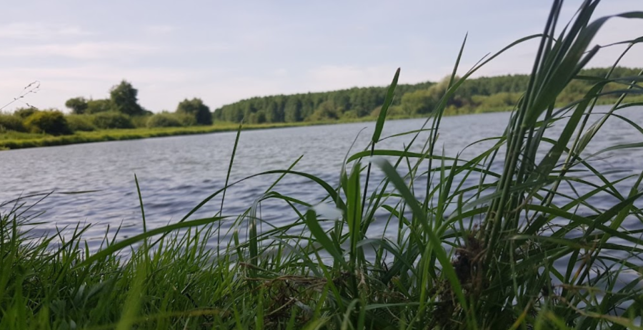 Зона відпочинку «Сирники»