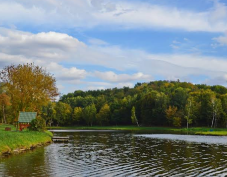 Озеро «Fish Forest»