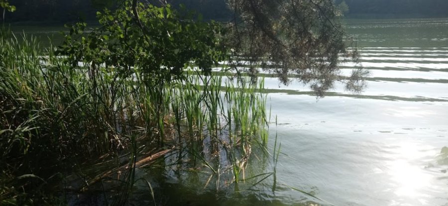 Готель-парк «Кавунова дача»