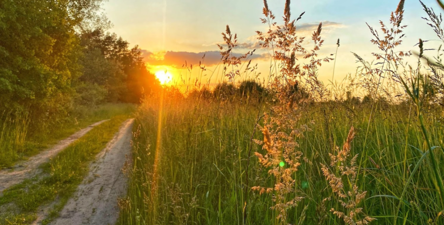 Комплекс «На Дачі»