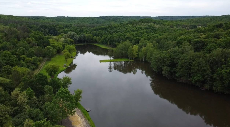 Озеро «Fish Forest»