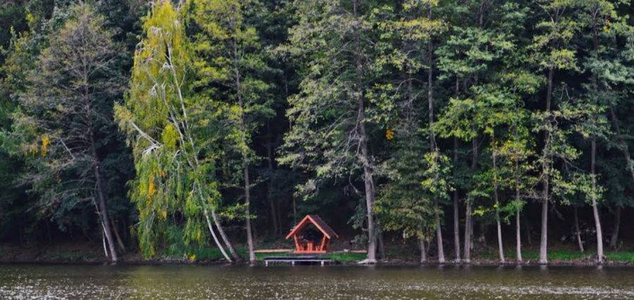 Озеро «Fish Forest»