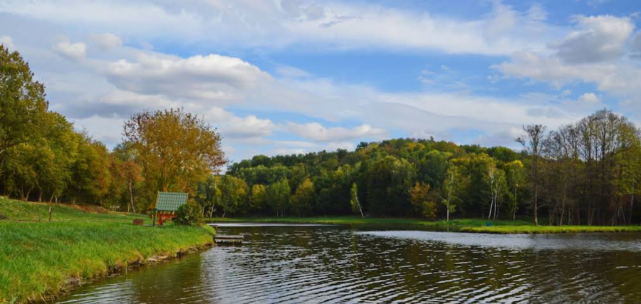 Озеро «Fish Forest»