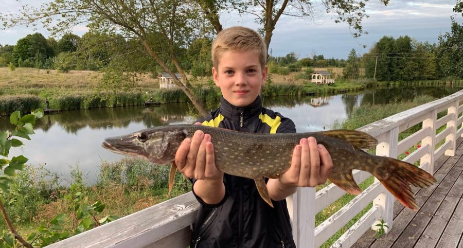 Затишна садиба