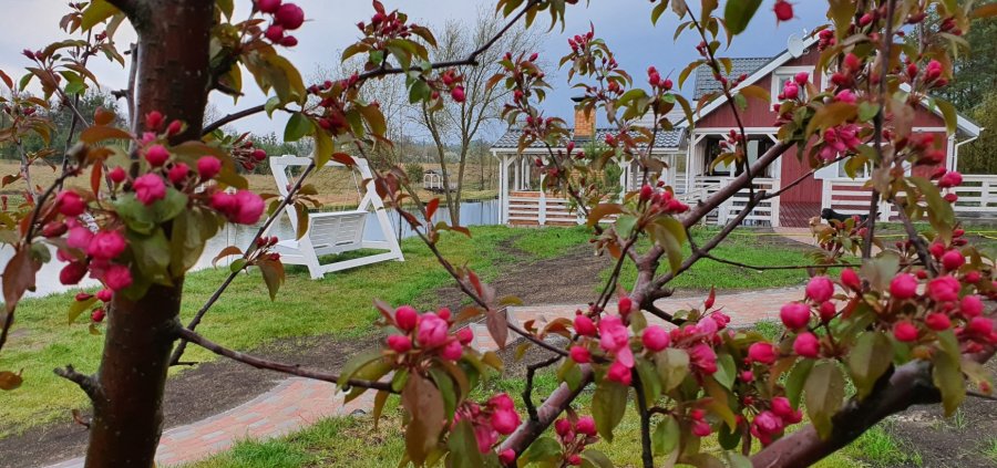 Затишна садиба