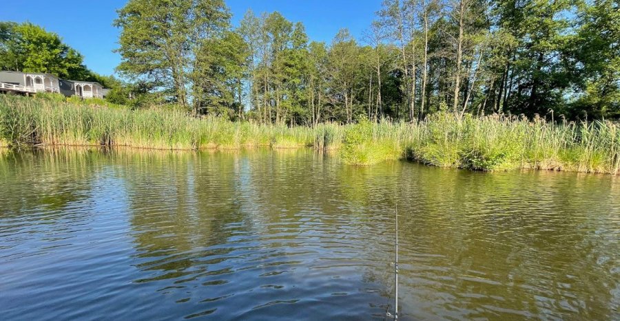 Затишна садиба