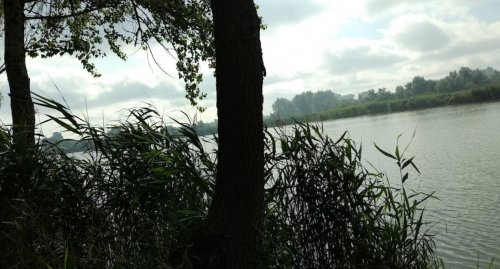 База отдыха и рыбалки «Байкал» в Черкасской области