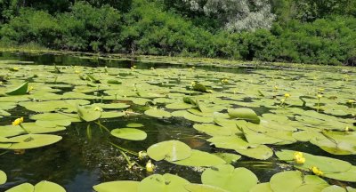 База отдыха и рыбалки «Крещатик»